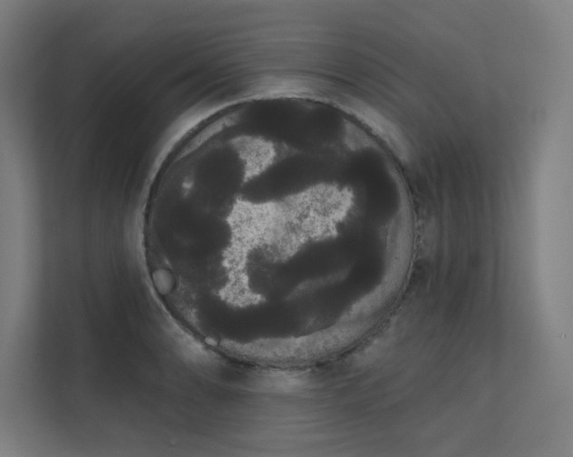 X0000112001086200908101317