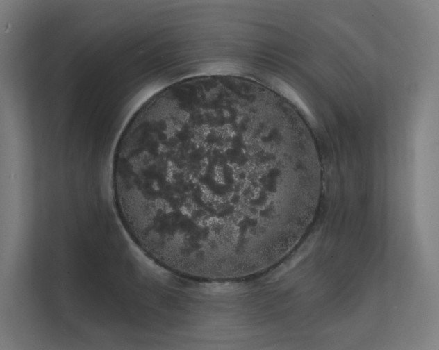 X0000112001087200908101317