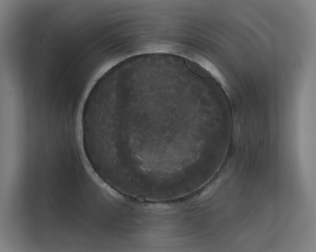 X0000112001088200908101317