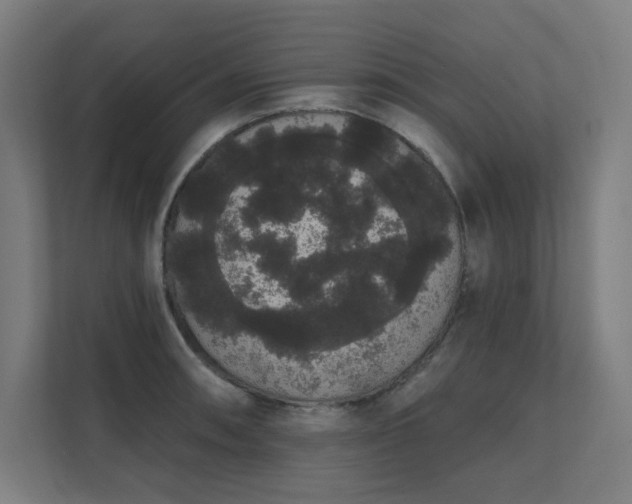 X0000112001090200908101317