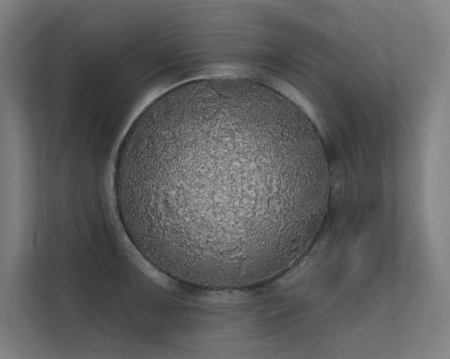 X0000112001091200908101317