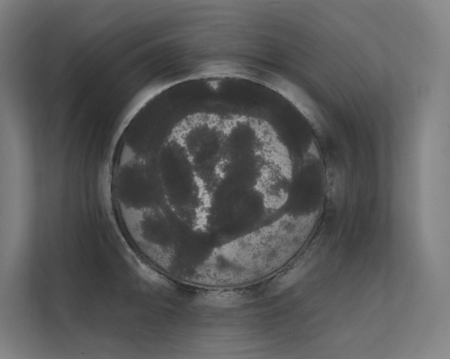 X0000112001094200908101317