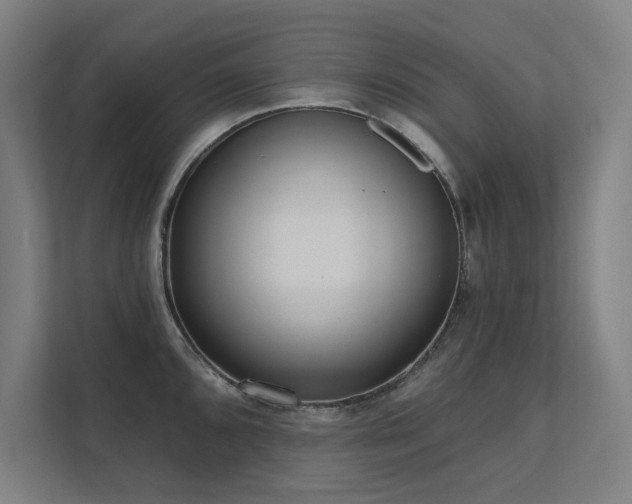 X0000112001096200908101317