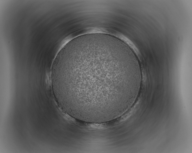 X0000112001097200908101317