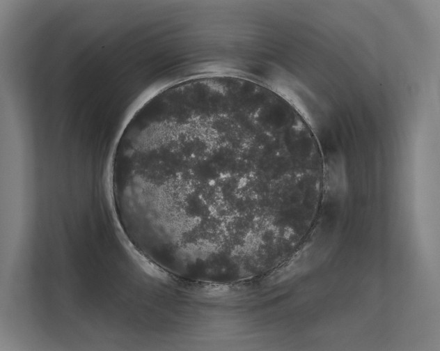 X0000112001098200908101317