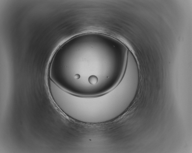 X0000112001104200908101317