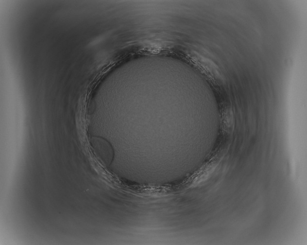 X0000112001105200908101316