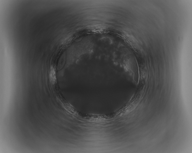 X0000112001106200908101316