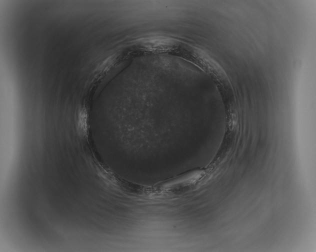 X0000112001108200908101316