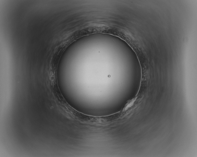 X0000112001109200908101316