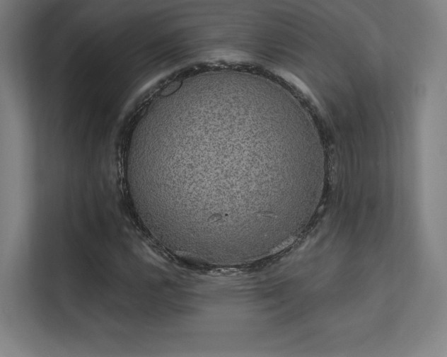 X0000112001112200908101316