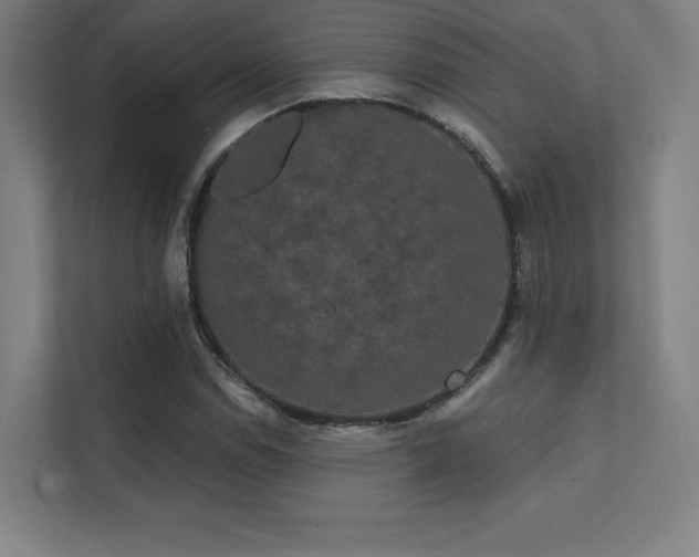 X0000112001114200908101316