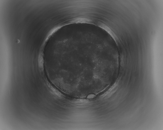 X0000112001115200908101316