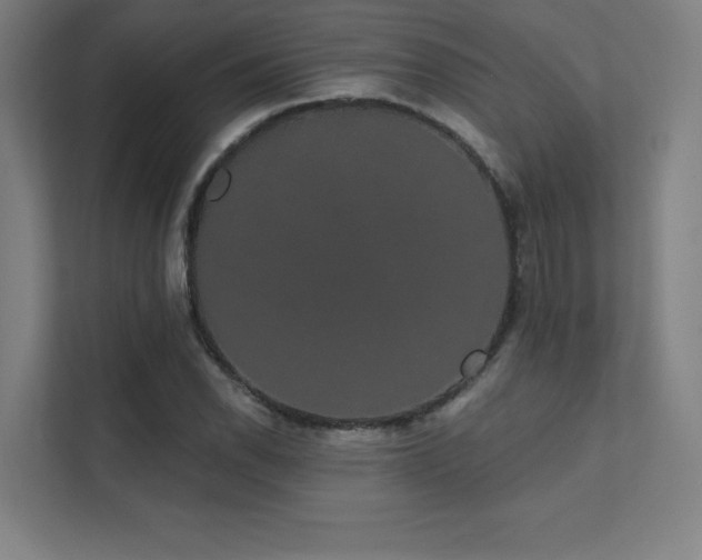 X0000112001118200908101316