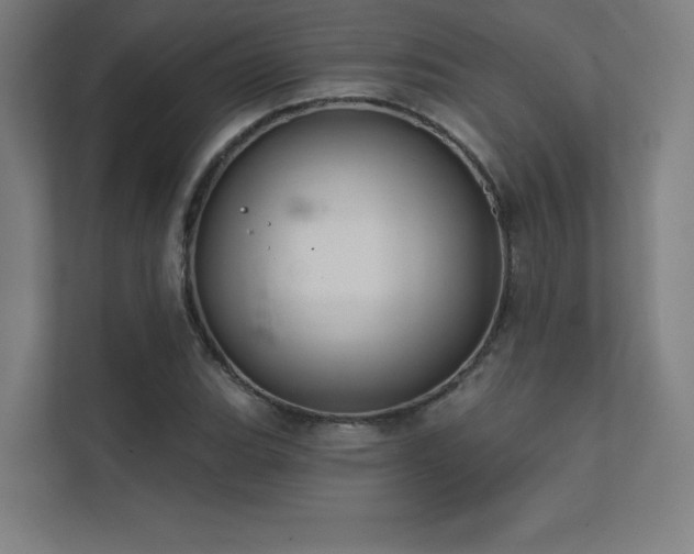 X0000112001119200908101316