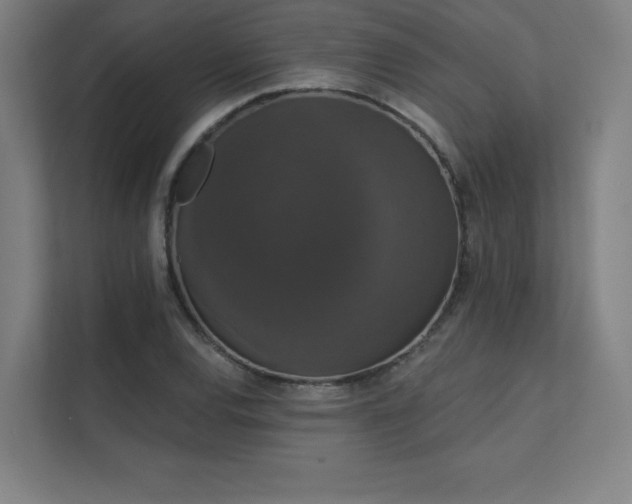 X0000112001120200908101316