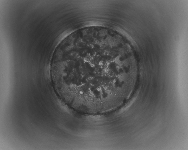 X0000112001121200908101316