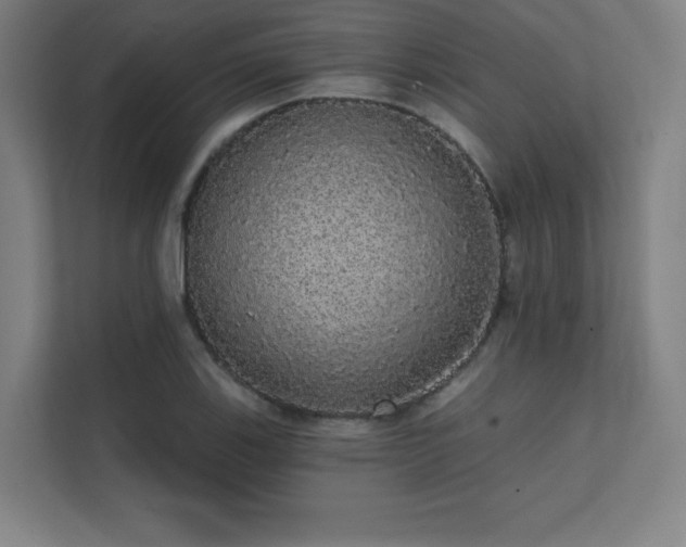 X0000112001123200908101316