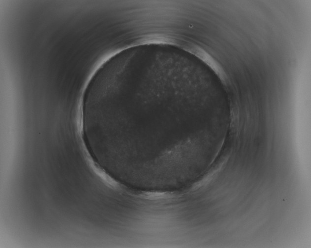 X0000112001132200908101317