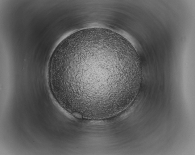 X0000112001142200908101317