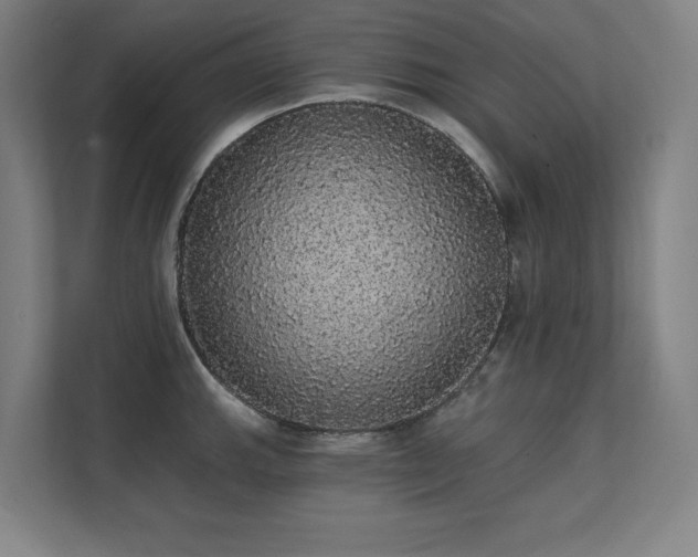 X0000112001143200908101317