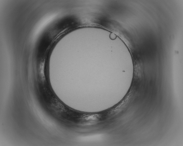 X0000112001150200908101317