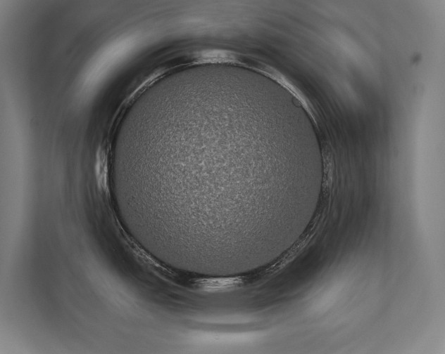 X0000112001151200908101317