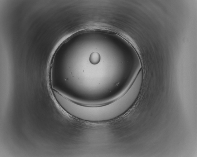 X0000112001152200908101317