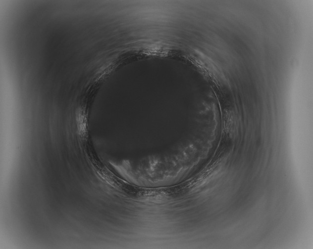 X0000112001154200908101316