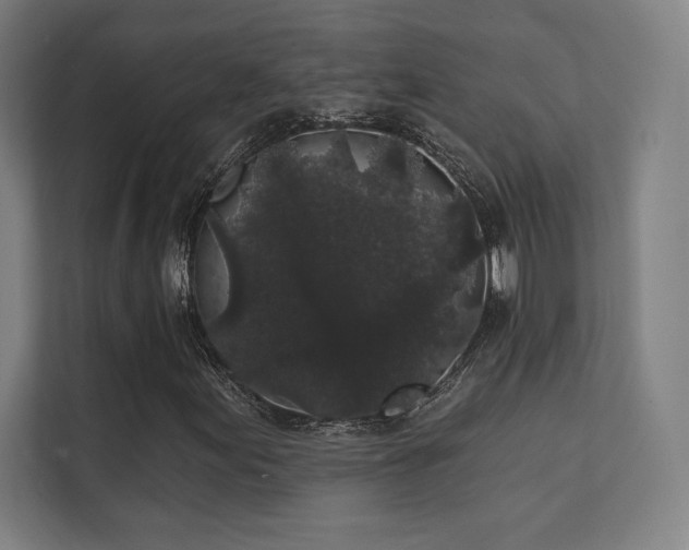 X0000112001155200908101316