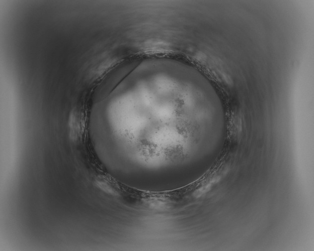 X0000112001157200908101316