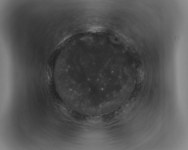 X0000112001158200908101316