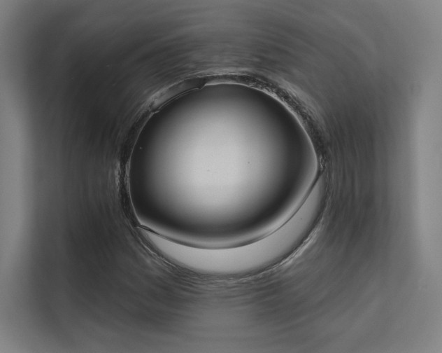 X0000112001161200908101316