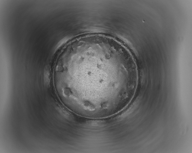 X0000112001163200908101316