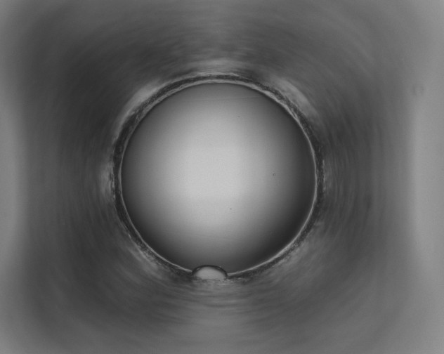 X0000112001164200908101316