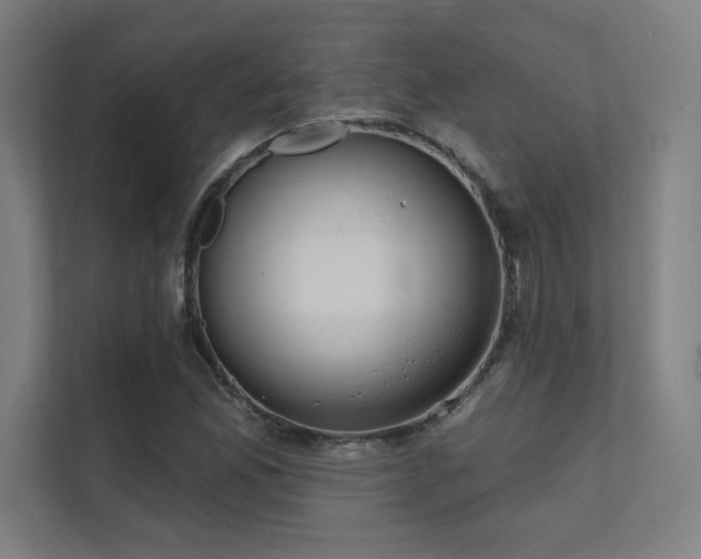 X0000112001165200908101316