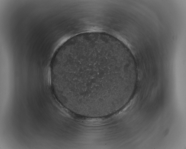 X0000112001171200908101316