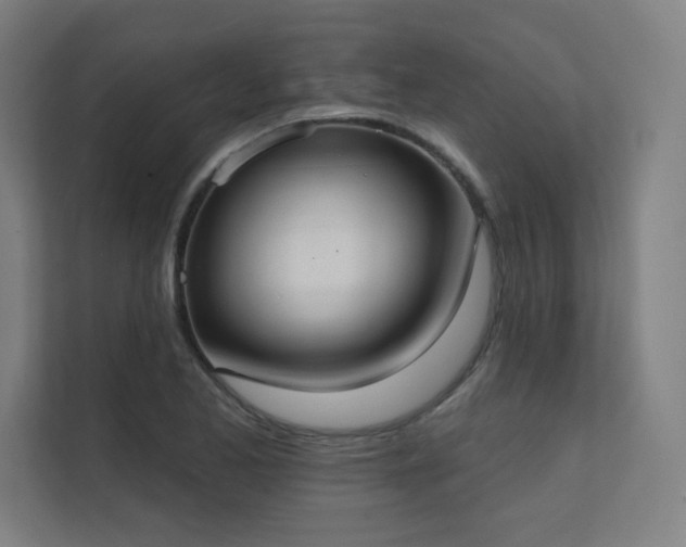 X0000112001173200908101316