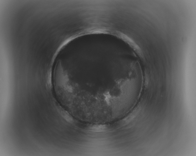 X0000112001174200908101316