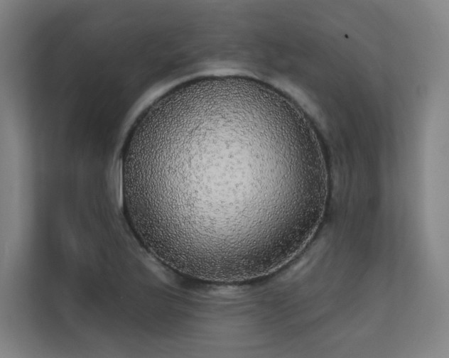 X0000112001175200908101316