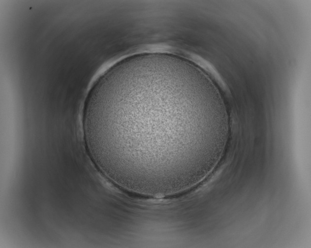 X0000112001176200908101316