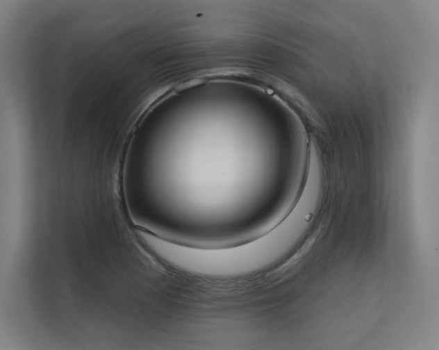 X0000112001177200908101316