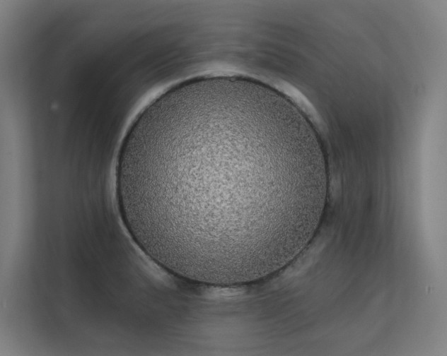 X0000112001183200908101316