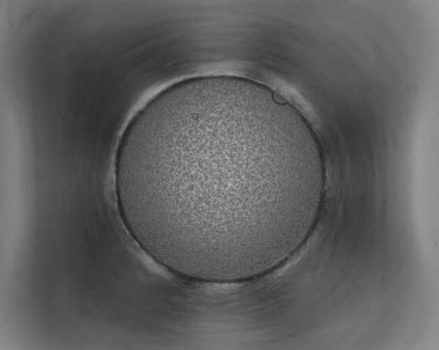 X0000112001184200908101316