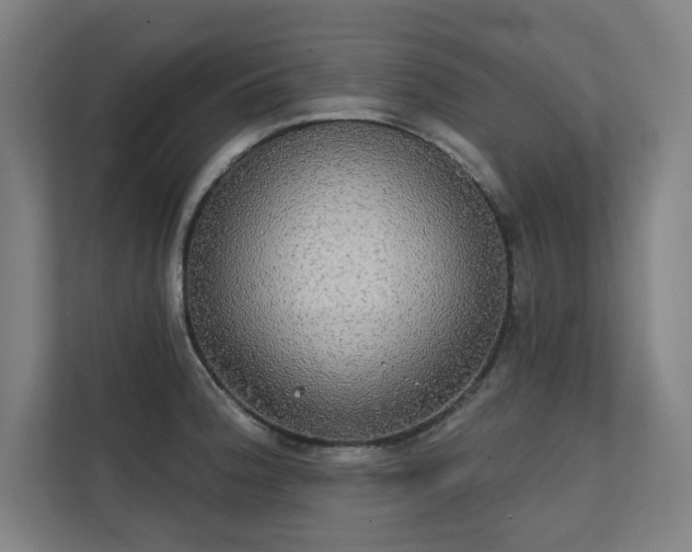 X0000112001188200908101316