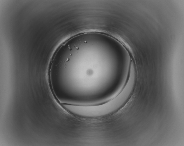 X0000112001189200908101316