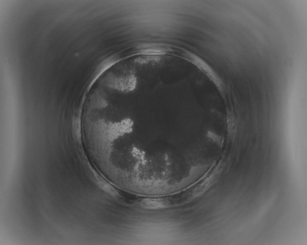 X0000112001194200908101316