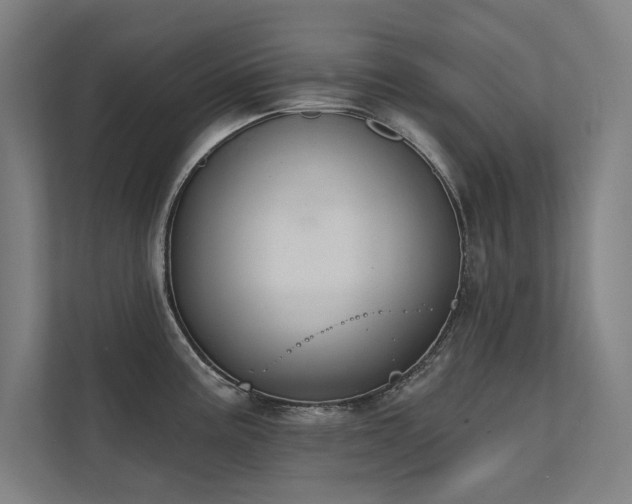 X0000112001195200908101316