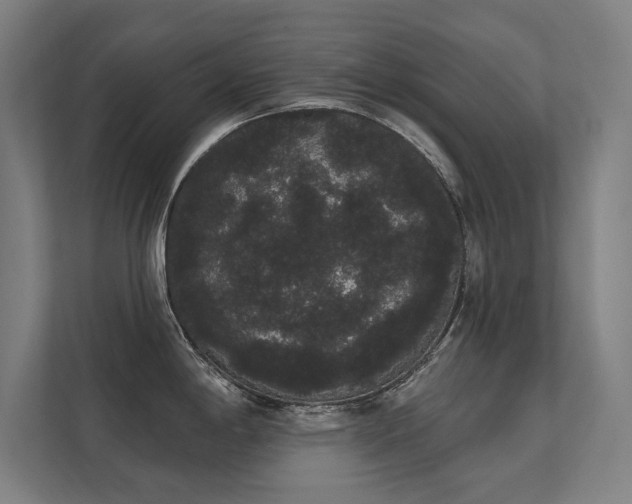 X0000112001198200908101316