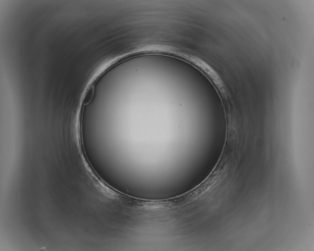 X0000112001199200908101316